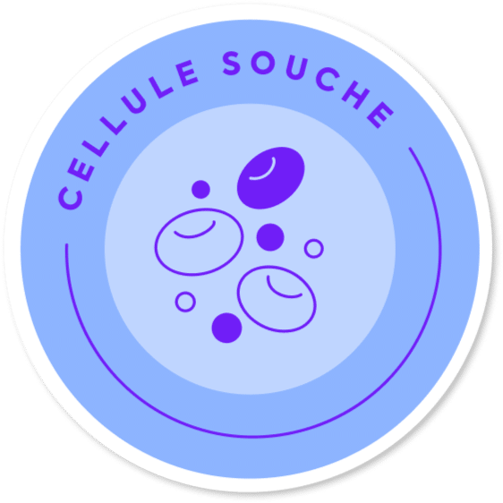 r2-sticker-cellules-souches