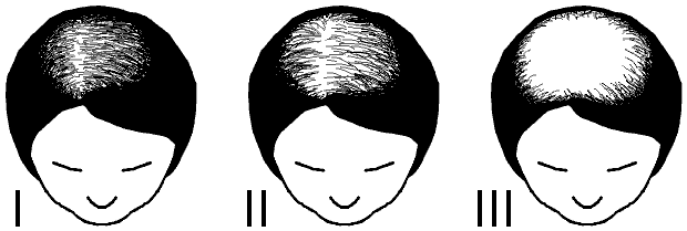 Classification de Ludwig
