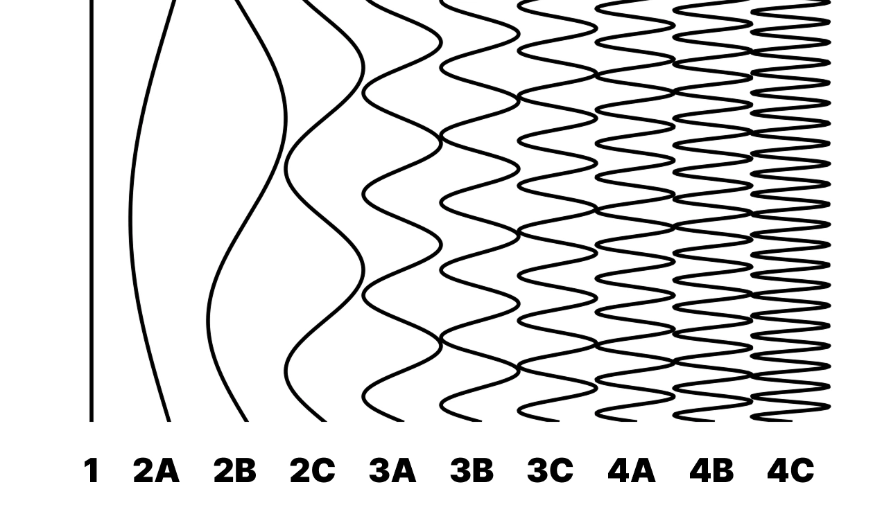 Schéma des 10 différents types de frisures des cheveux