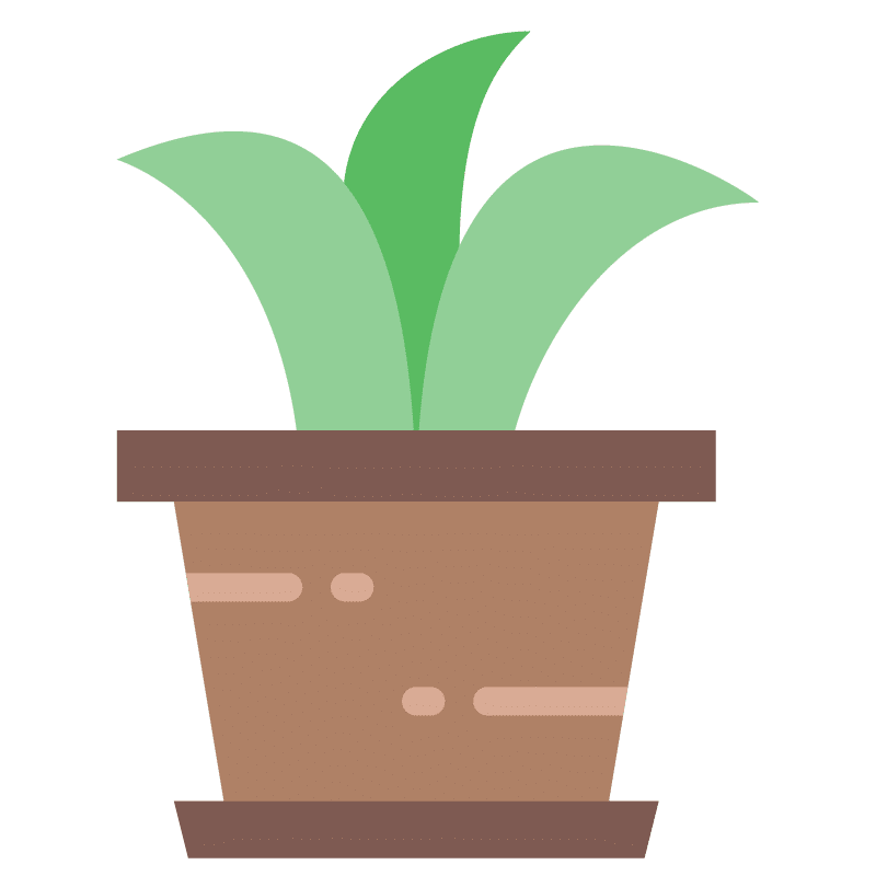 plante-r2